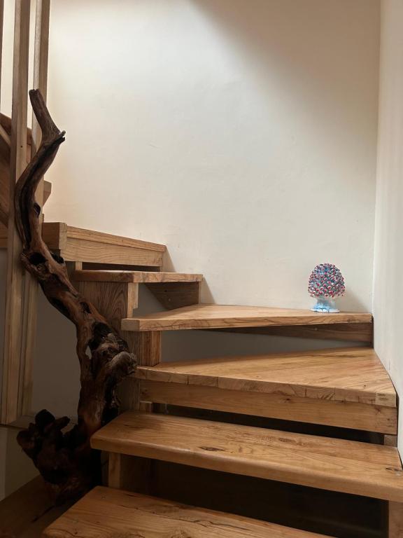 Fotografie z fotogalerie ubytování B&B Casa CamiLory v destinaci San Lucido