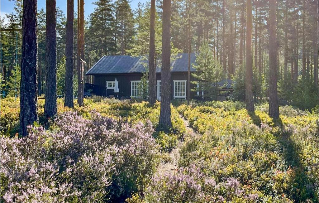 una piccola casa in mezzo a una foresta di 3 Bedroom Cozy Home In Treungen a Treungen