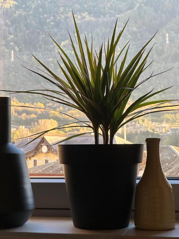 Terra Hotel Boutique - 11