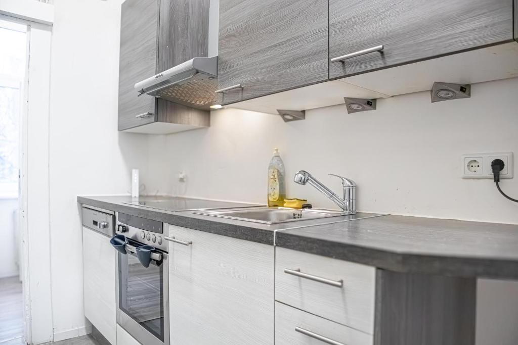 kuchnia ze zlewem i blatem w obiekcie Delightful 2BR Apt.-Near Wiener Stadthalle w Wiedniu