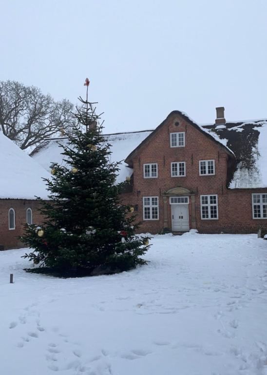 Bjerremark Hotel og Kursuscenter v zimě