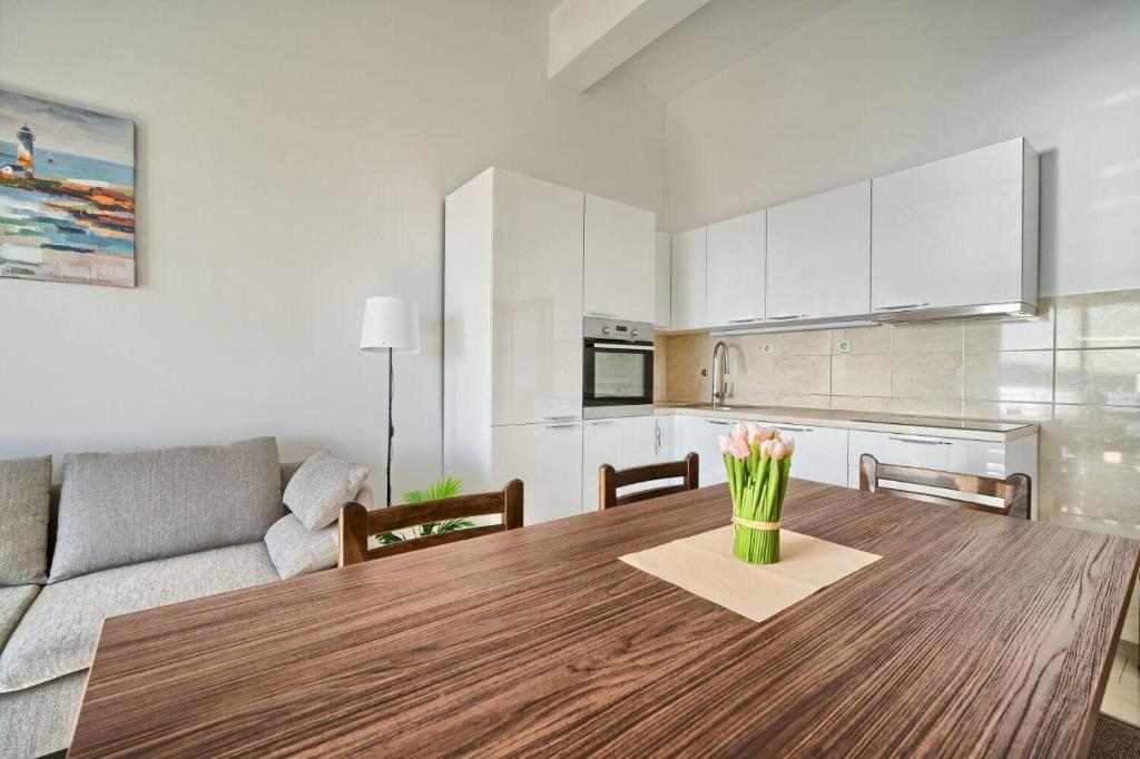 Kuchyňa alebo kuchynka v ubytovaní Apartment AnteV