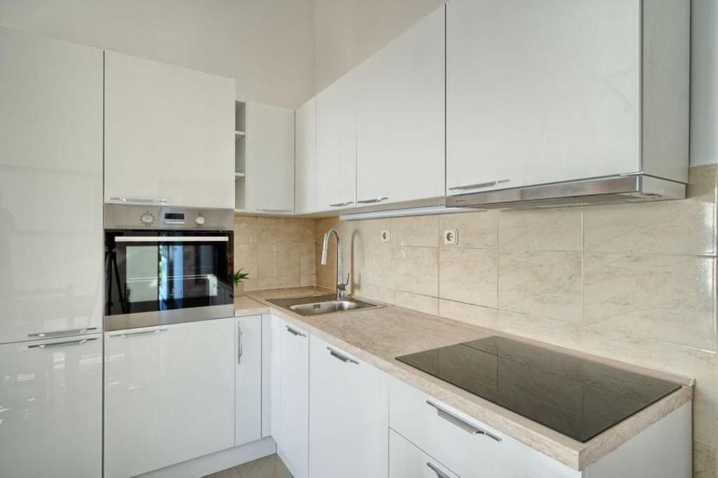 Kuchyňa alebo kuchynka v ubytovaní Apartment AnteV