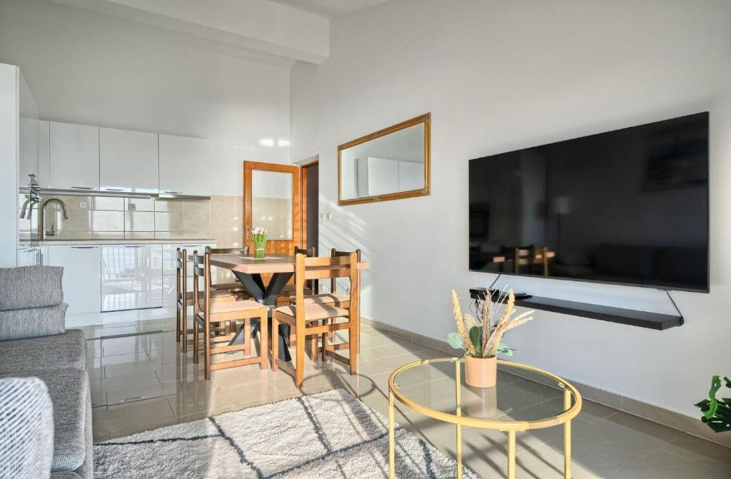 Televízia a/alebo spoločenská miestnosť v ubytovaní Apartment AnteV