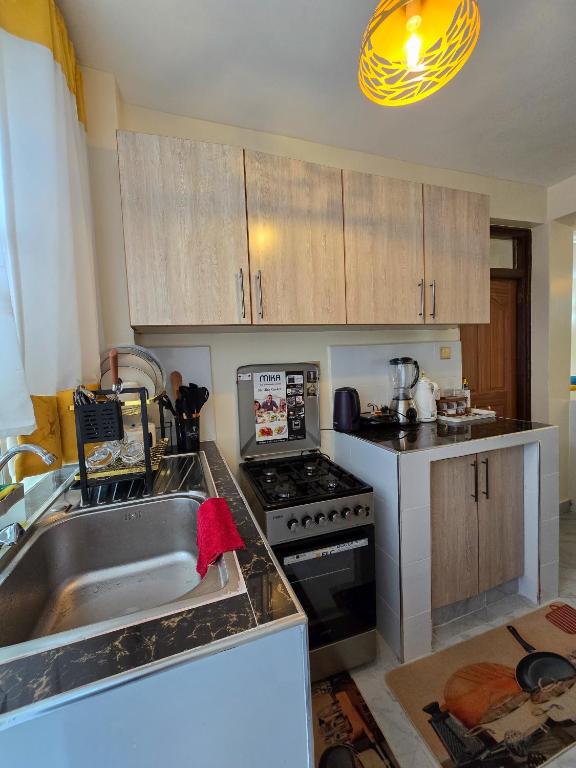 Kuchyň nebo kuchyňský kout v ubytování Nyumbani Vibes - Treands Apartment