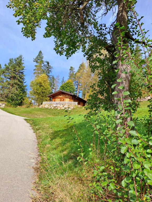 Príroda v okolí apartmánu