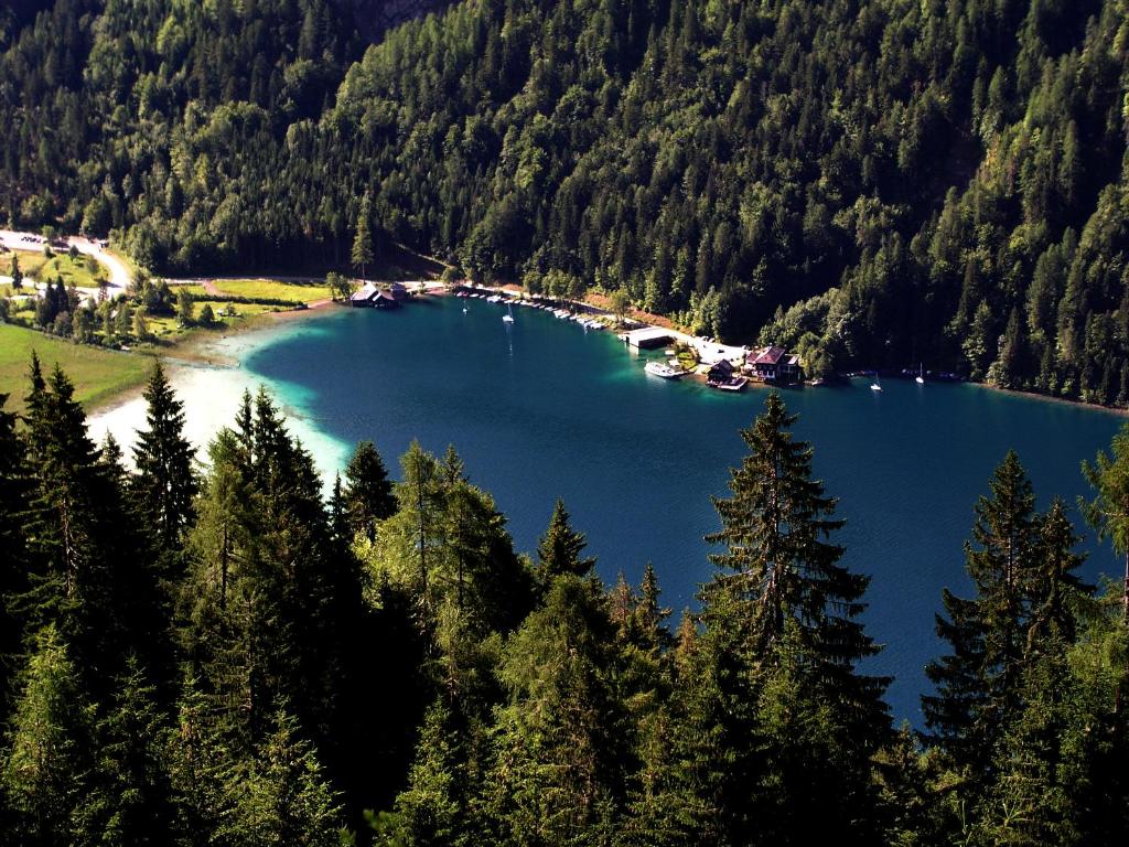 Táj Show holiday homes közelében