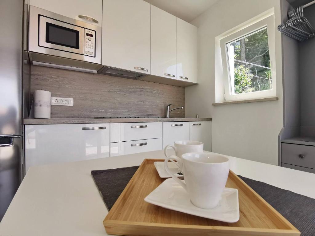 Kuchyň nebo kuchyňský kout v ubytování Studio Apartment Glorijeta