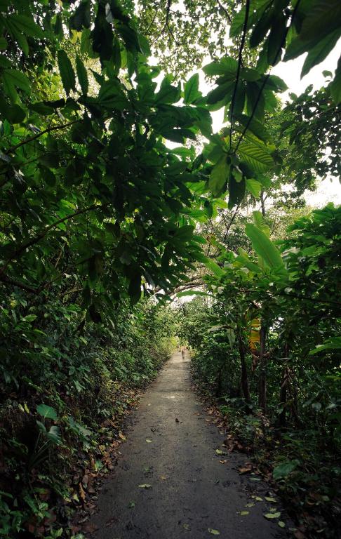 Fotografie z fotogalerie ubytování Jathikka Homestay v destinaci Vagamon
