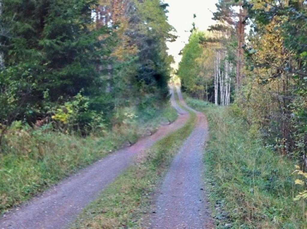 Příroda nedaleko chaty