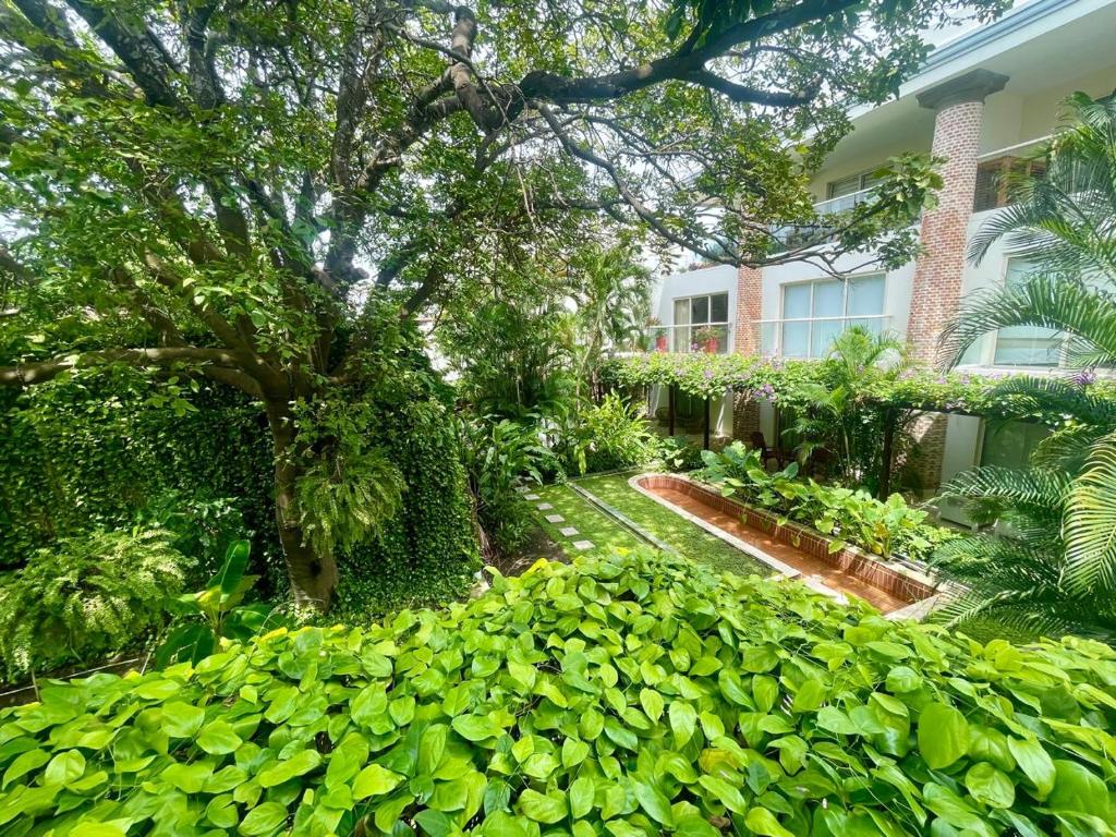 un jardin devant un immeuble dans l'établissement Modern Comfort - Spacious 2BR in Walled City, à Carthagène des Indes
