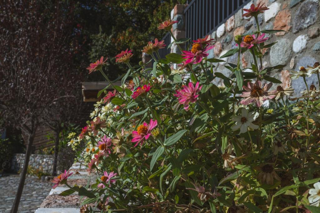 Alkyonis Hotel & Spa - 6