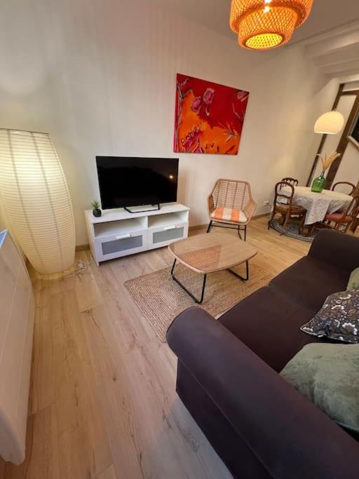 un salon avec un canapé et une télévision à écran plat dans l'établissement L'Écrin Cosy T2 Hypercentre, à Limoges