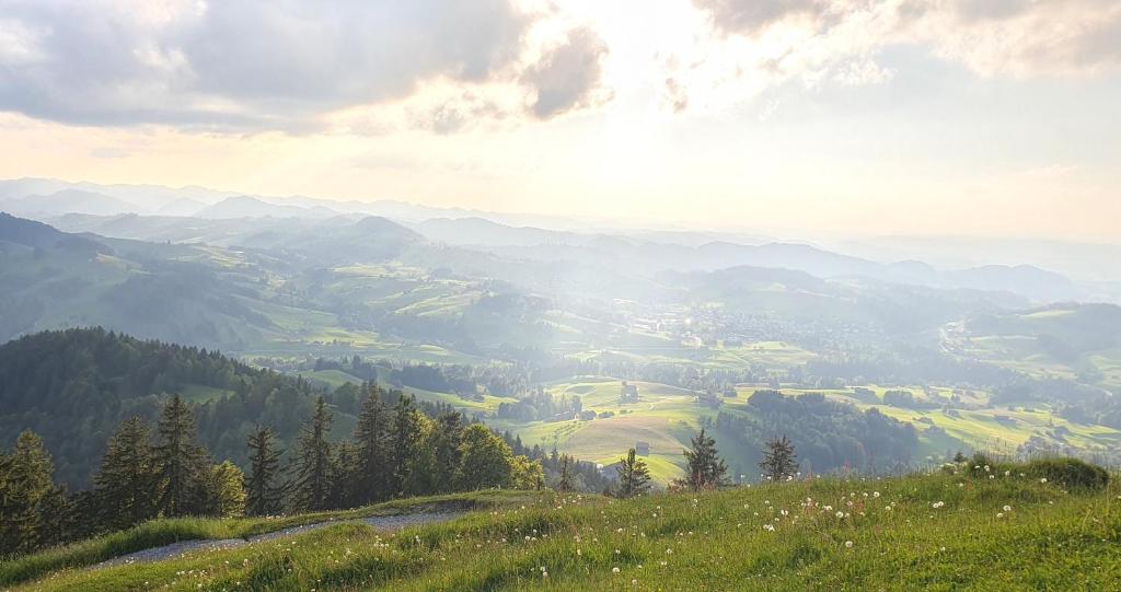 2-4 Zimmer Apartments Stilvoll im Gertrud Schlössli - zentral ruhig - Resim 41
