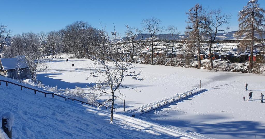 2-4 Zimmer Apartments Stilvoll im Gertrud Schlössli - zentral ruhig - Resim 44