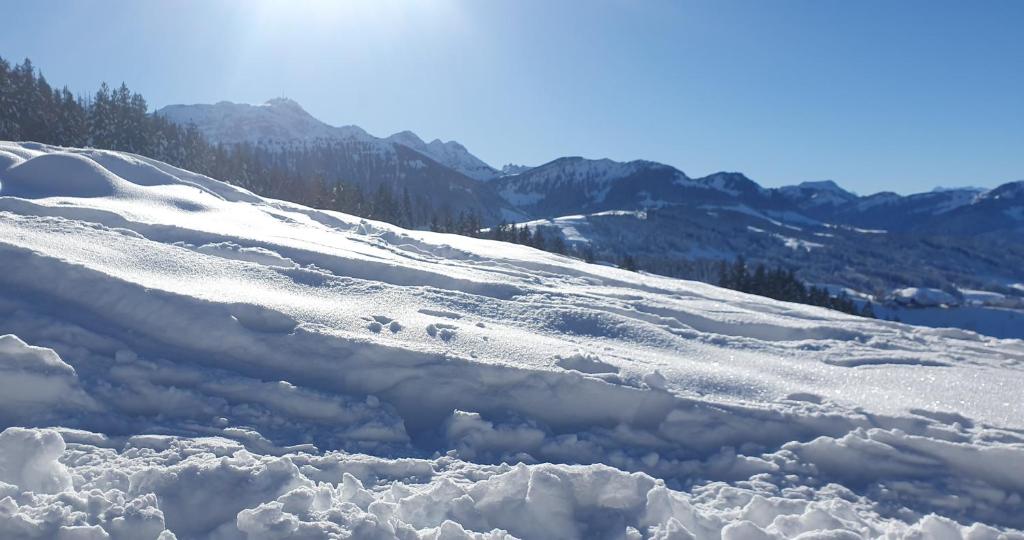 2-4 Zimmer Apartments Stilvoll im Gertrud Schlössli - zentral ruhig - Resim 45