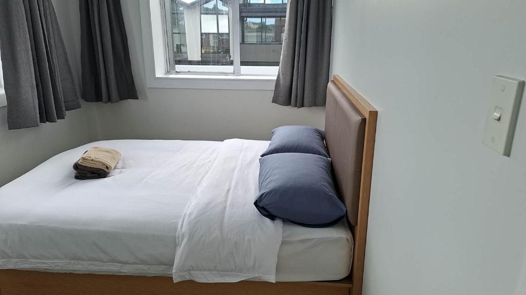 9 Beds including 3 Double Beds, 4 Single Beds, 2 Sofa Bed, Suite 1, 37 Totara Avenue, New Lynn - Resim 11