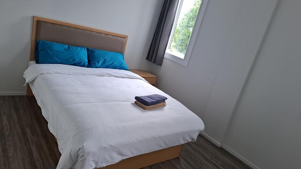 9 Beds including 3 Double Beds, 4 Single Beds, 2 Sofa Bed, Suite 1, 37 Totara Avenue, New Lynn - Resim 13