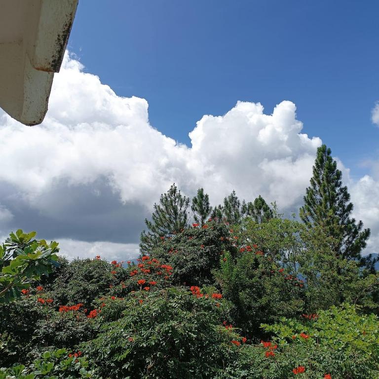 Zahrada ubytování Liyara Villas