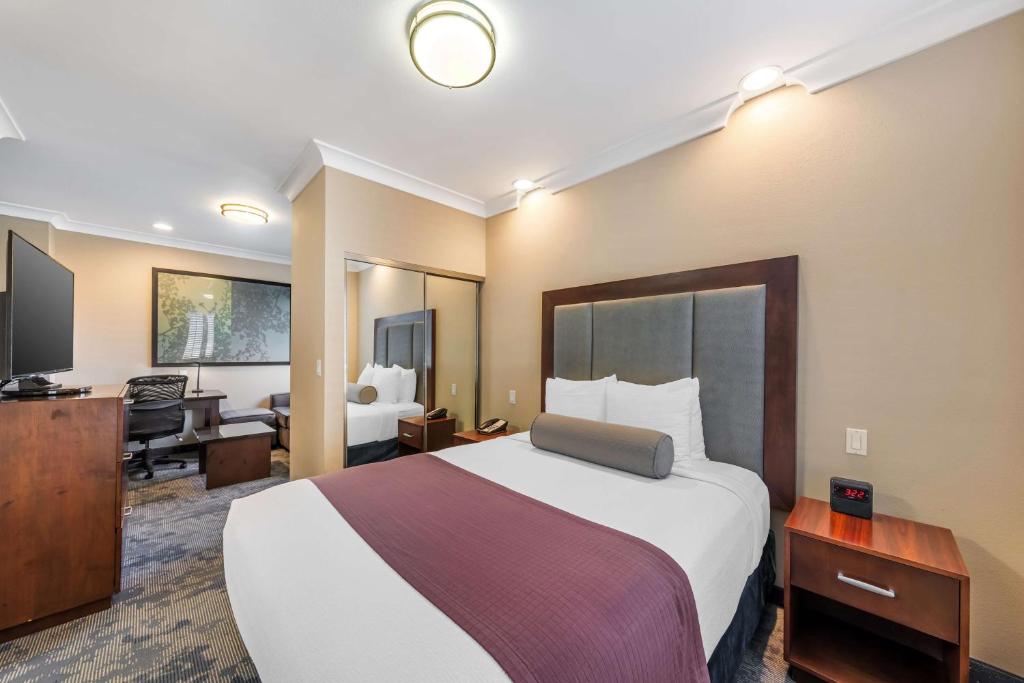 Best Western PLUS Avita Suites - Queen Suite