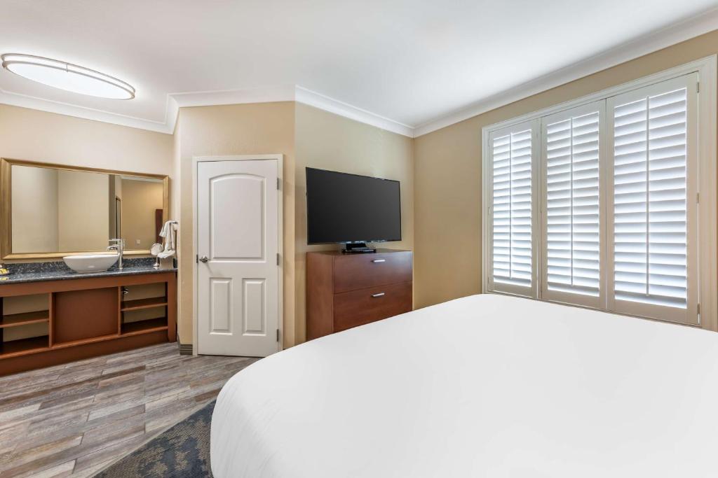 Best Western PLUS Avita Suites - King Suite With Sofa Bed