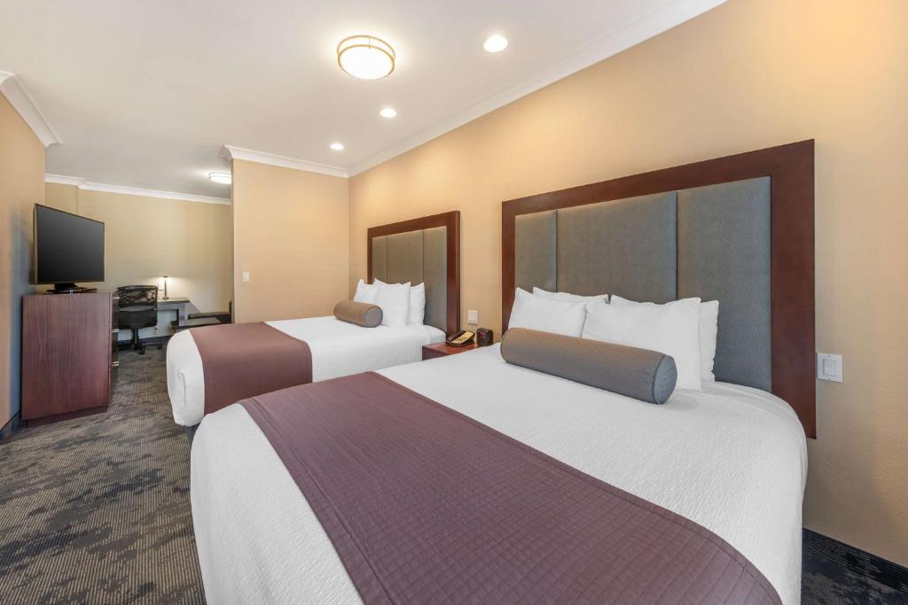 Best Western PLUS Avita Suites - Queen Suite With Two Queen Beds