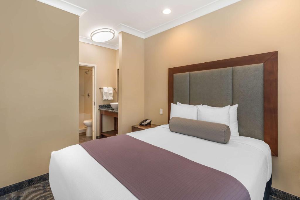 Best Western PLUS Avita Suites - Queen Suite With Sofa Bed