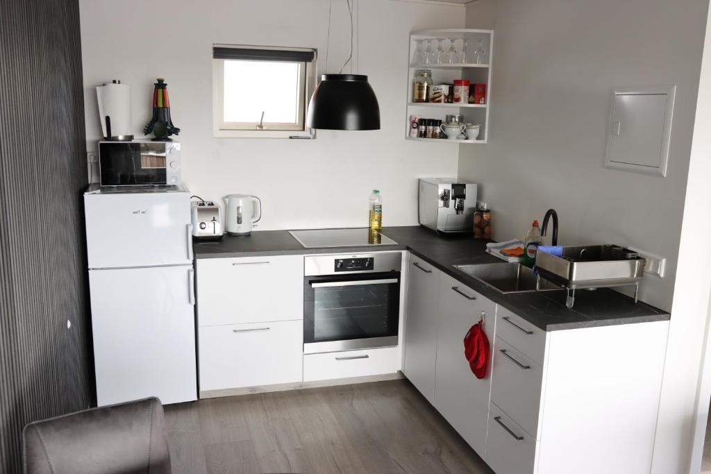 Kuchyň nebo kuchyňský kout v ubytování Guesthouse Dyngja