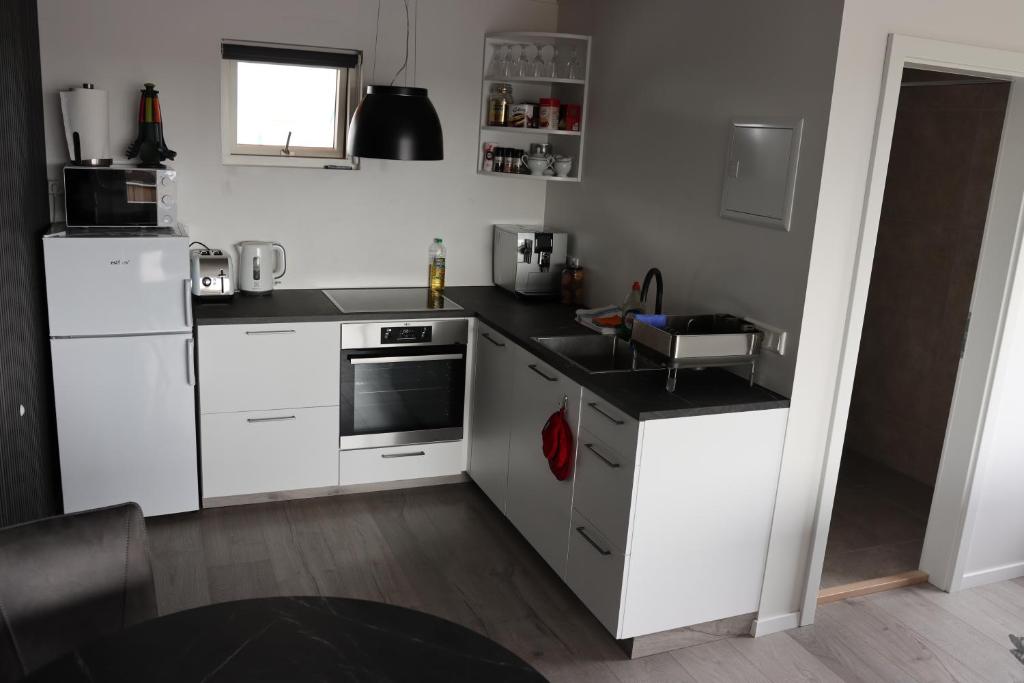 Kuchyň nebo kuchyňský kout v ubytování Guesthouse Dyngja