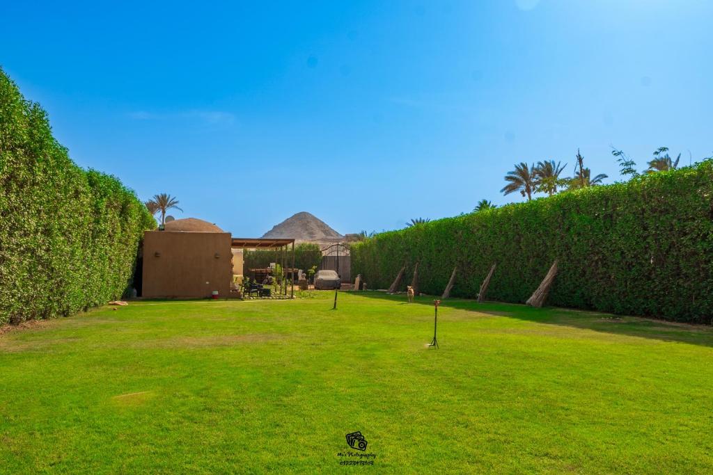 a grassy yard with a building and palm trees at Sahure Pyramid View Inn in Cairo