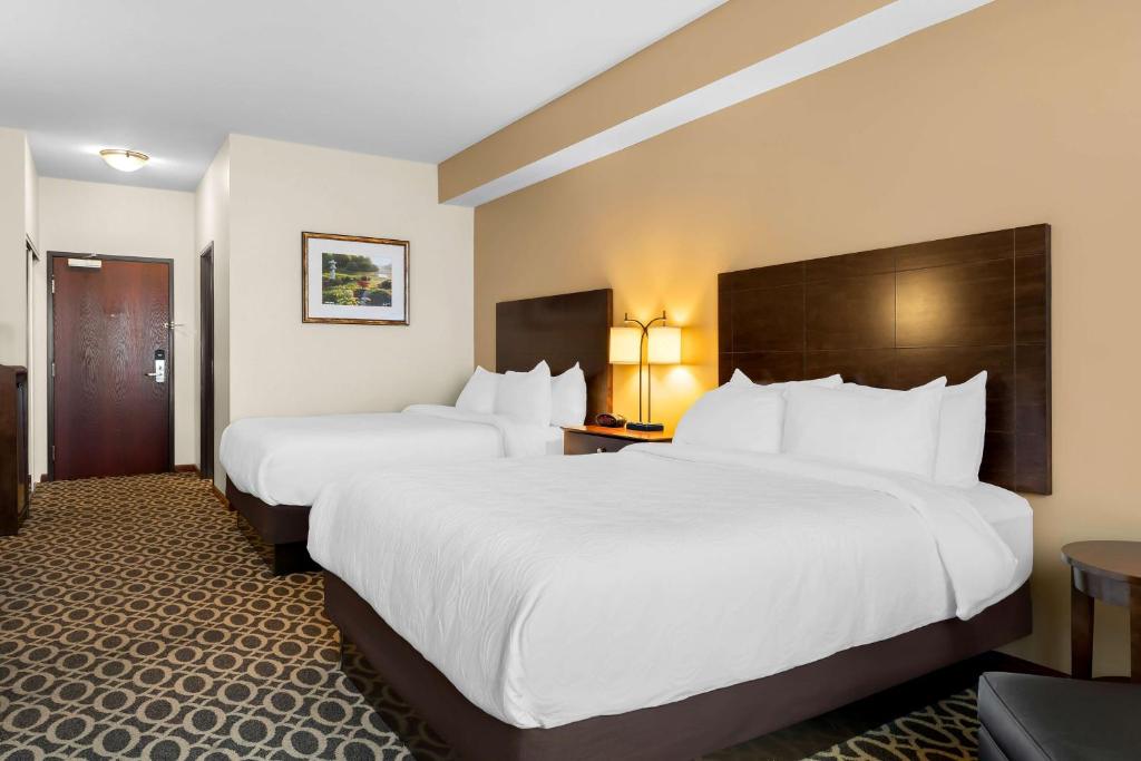 Best Western Paradise Inn - 行政大号床间 - 带两张大号床 - 禁烟