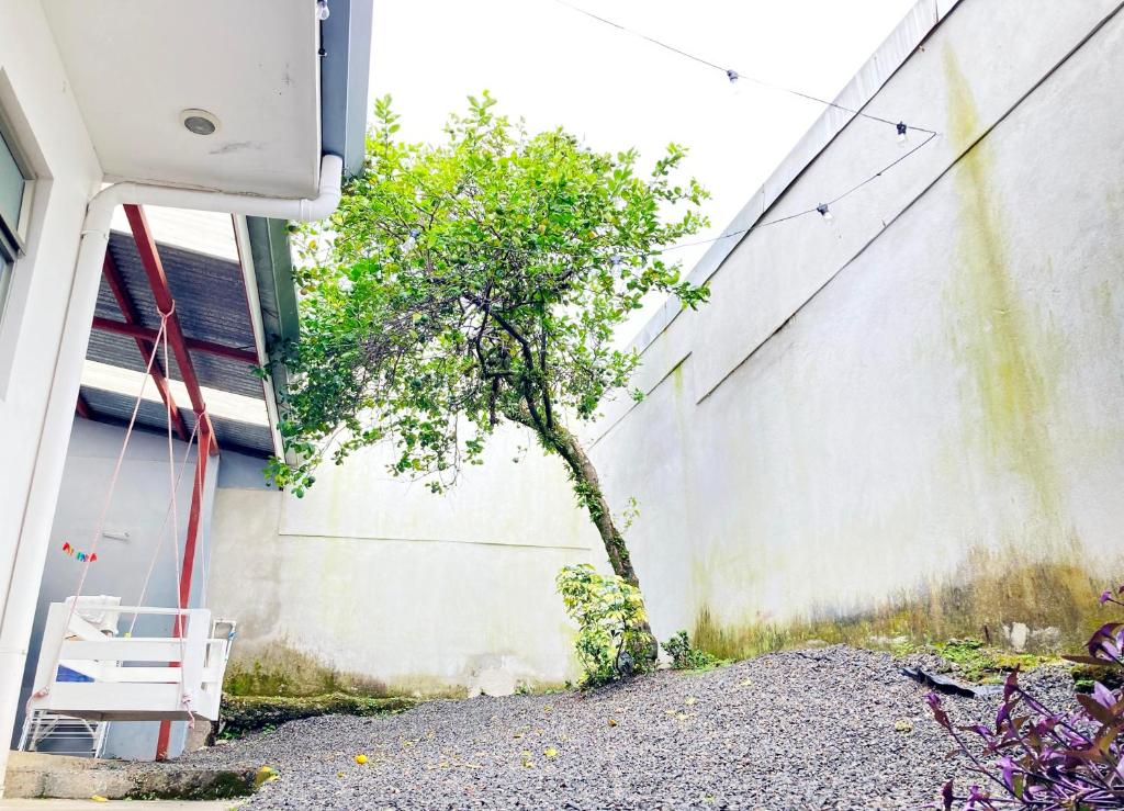 Zahrada ubytování Casa Matiza, 7 min SJO airport, free parking, AC