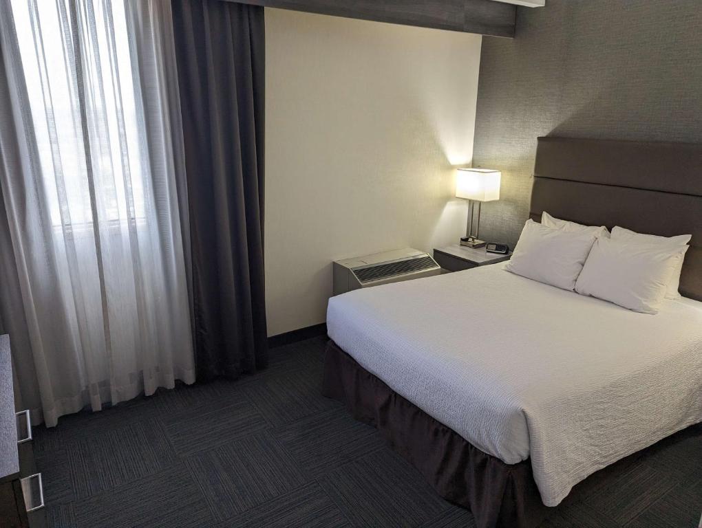 Best Western Plus Toronto Airport Hotel - Resim 30