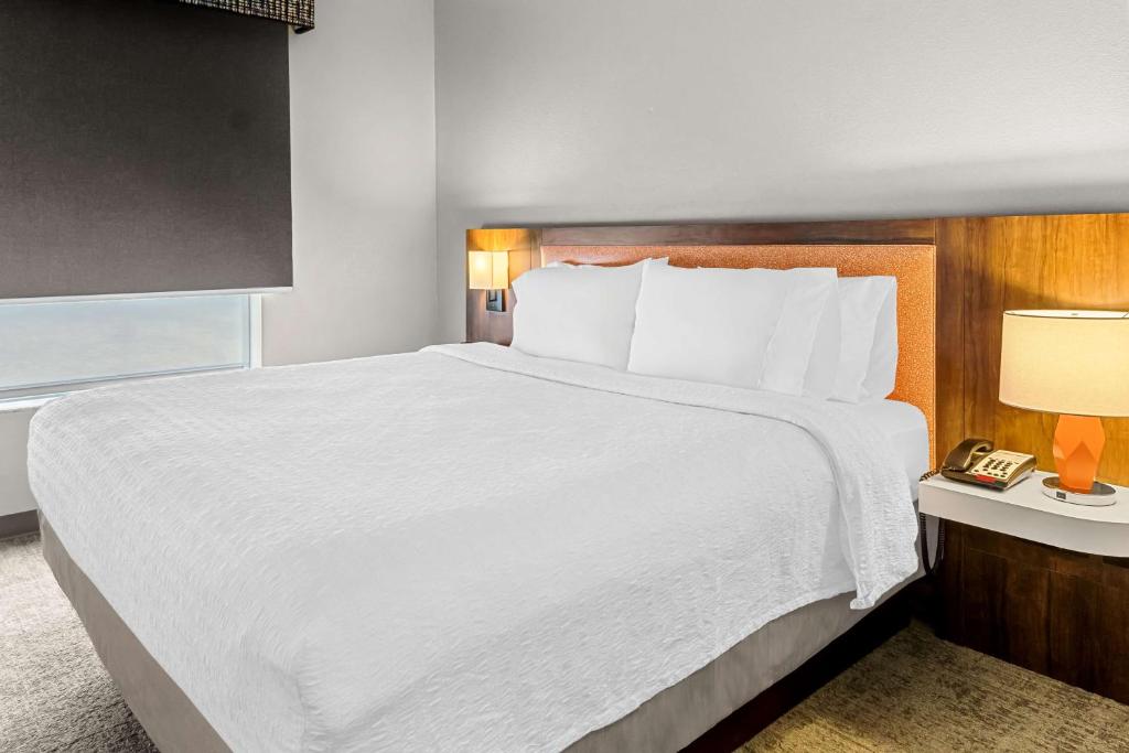 Postel nebo postele na pokoji v ubytování Hampton Inn & Suites Abilene I-20