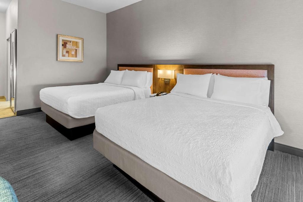 Postel nebo postele na pokoji v ubytování Hampton Inn & Suites Abilene I-20