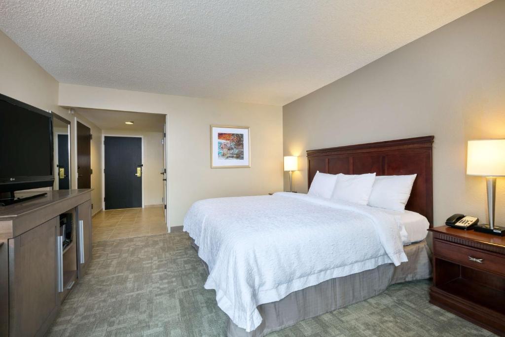 Hampton Inn Houston Near the Galleria - Camera King - Accesso Disabili/Non Fumatori