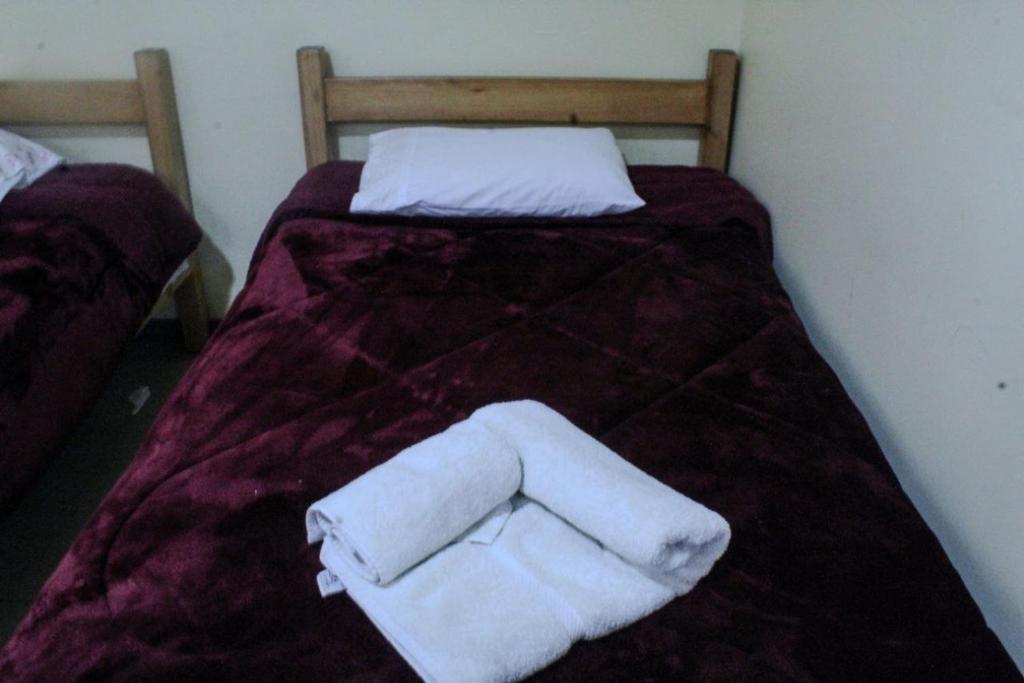 Postel nebo postele na pokoji v ubytování Hotel Blu Bascuñan