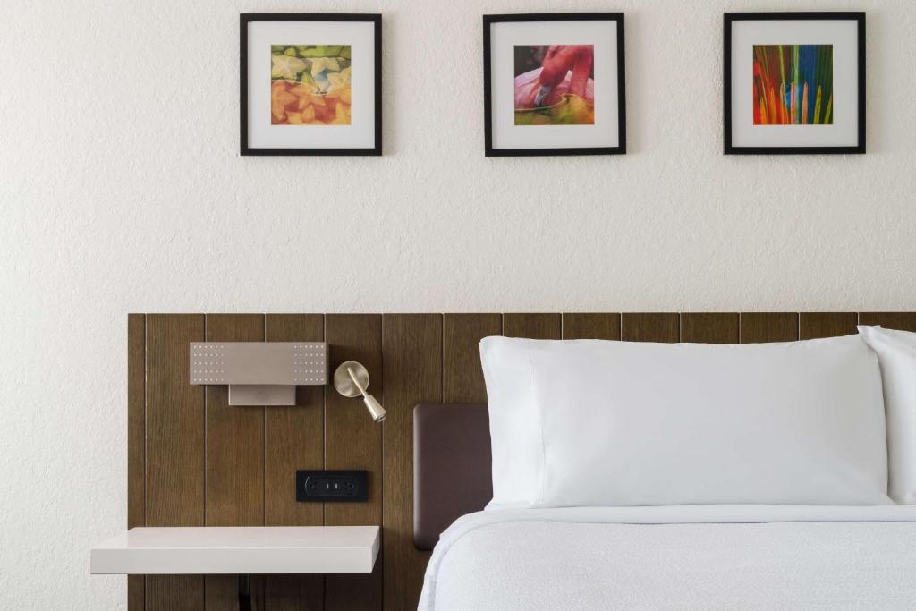 Hilton Garden Inn Lake Mary - Suite Junior King Con Sofá Cama
