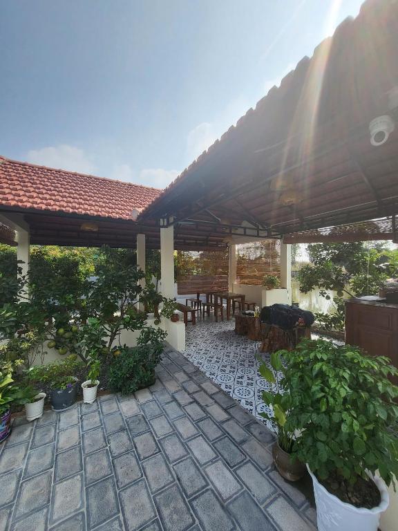 Tam Coc Pomelo Garden - 11