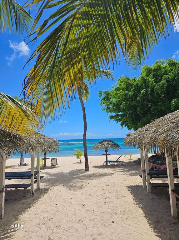 Paisatge natural a prop de l'apartament