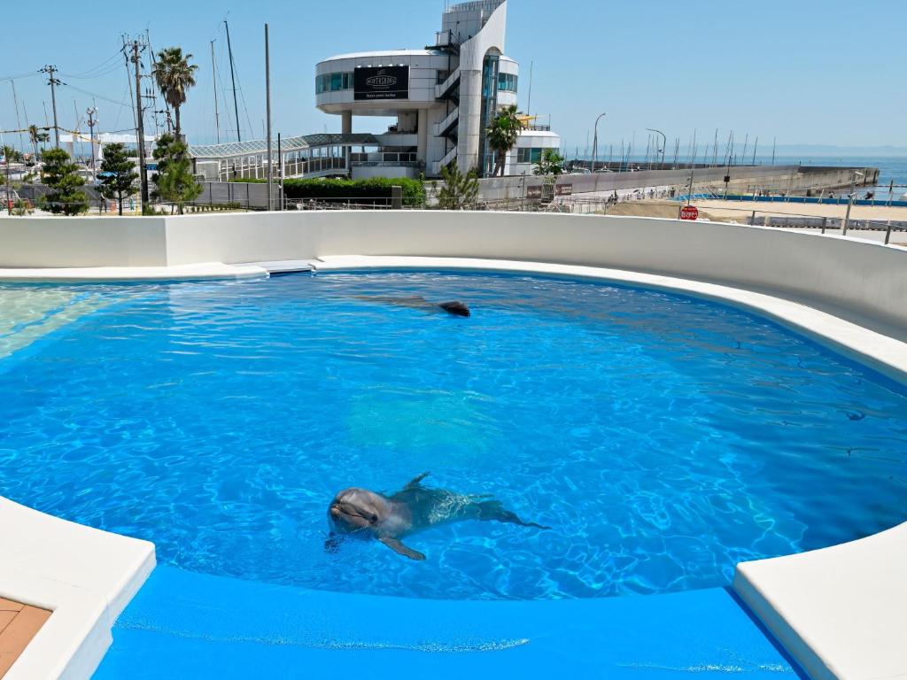Bazén v ubytování Kobe Suma Seaworld Hotel nebo v jeho okolí