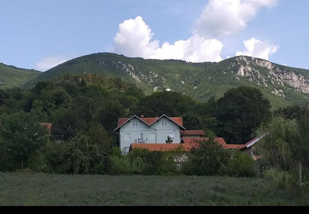 a house in a field with mountains in the background at Smestaj Novakovic ,Zdrelo in Ždrelo
