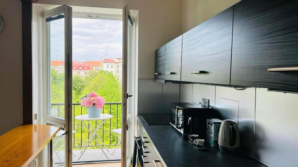 Kuchyň nebo kuchyňský kout v ubytování Park View Apartment Anděl