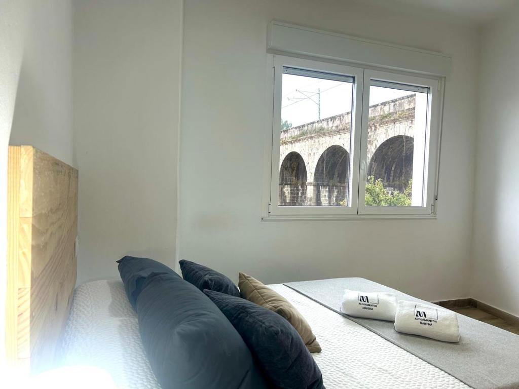 CAMIÑO DA PRATA - 11