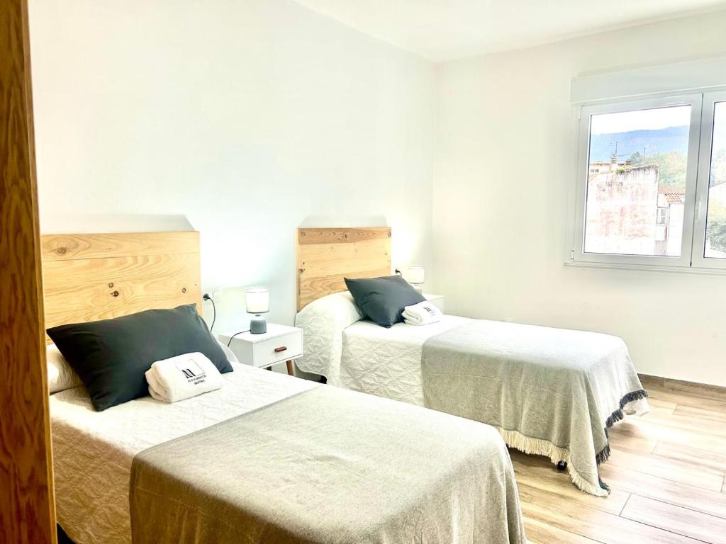 CAMIÑO DA PRATA - 13