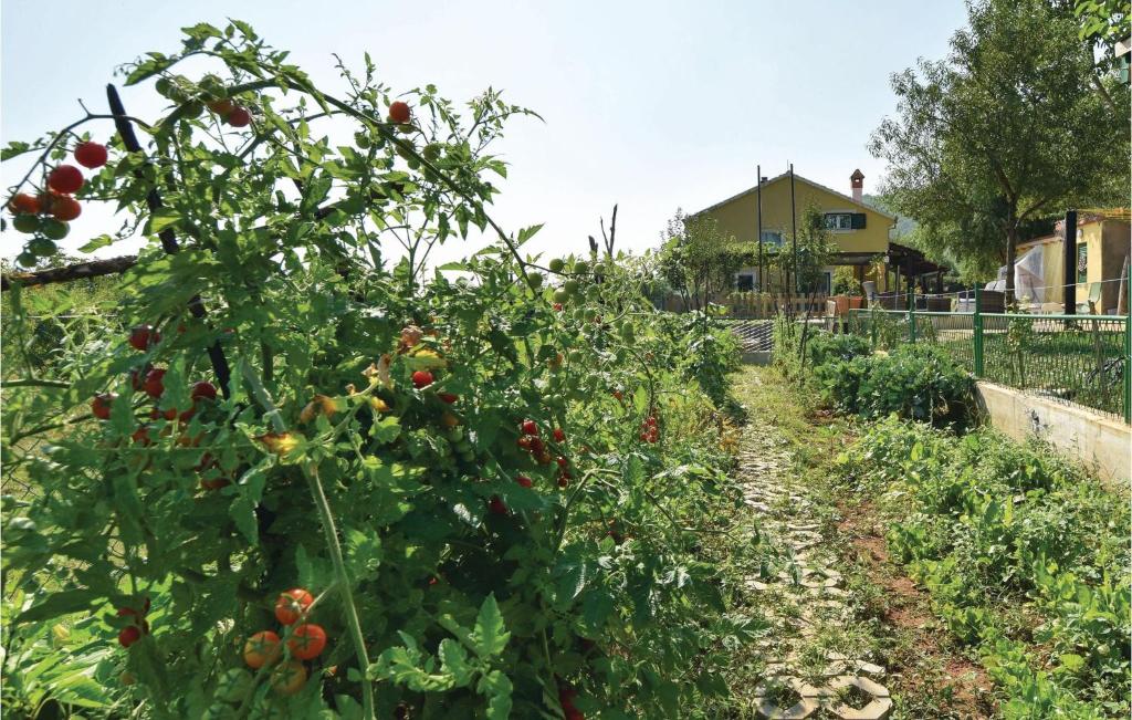 Zahrada ubytování Three-Bedroom Holiday Home In Dicmo