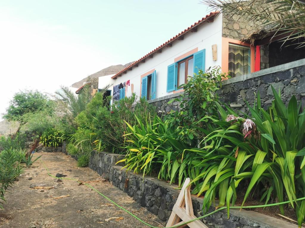 Zahrada ubytování Casa Praia Tarrafal de Monte Trigo