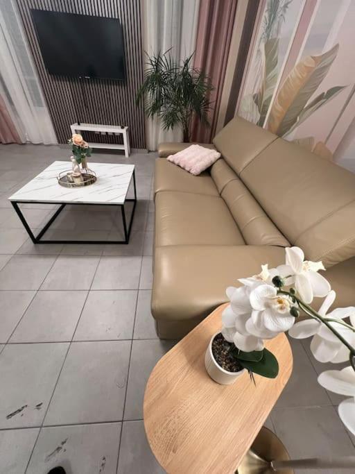 Esprit Palace, coeur de Mulhouse – photo 14