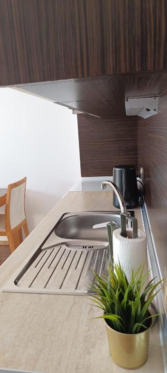 Kuchyň nebo kuchyňský kout v ubytování Apartment Hotel & SPA Aheloy