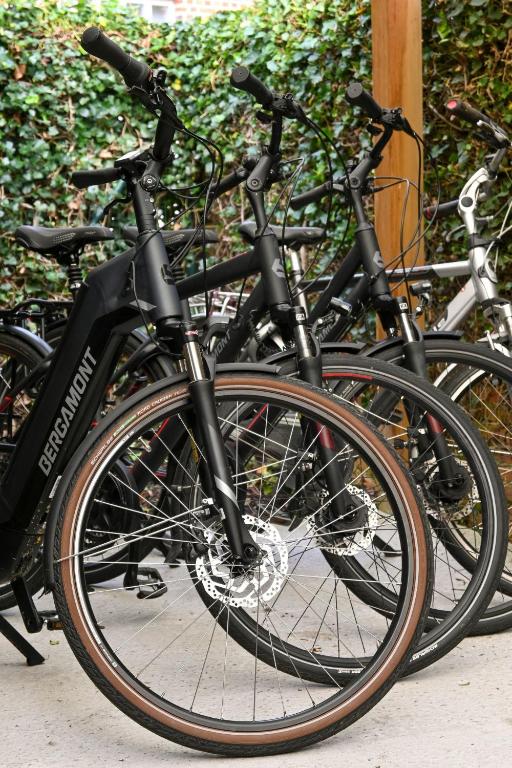 Jízda na kole v ubytování Hotel Essenza nebo okolí